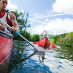 people kayaking in a river