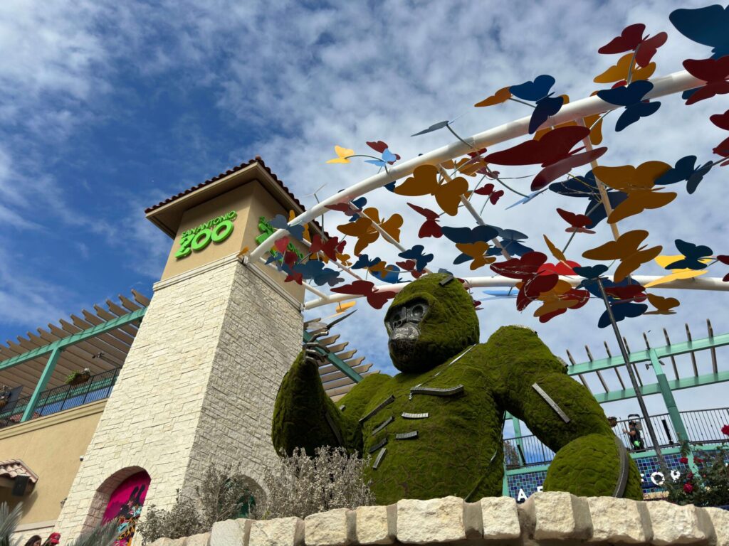 san antonio zoo