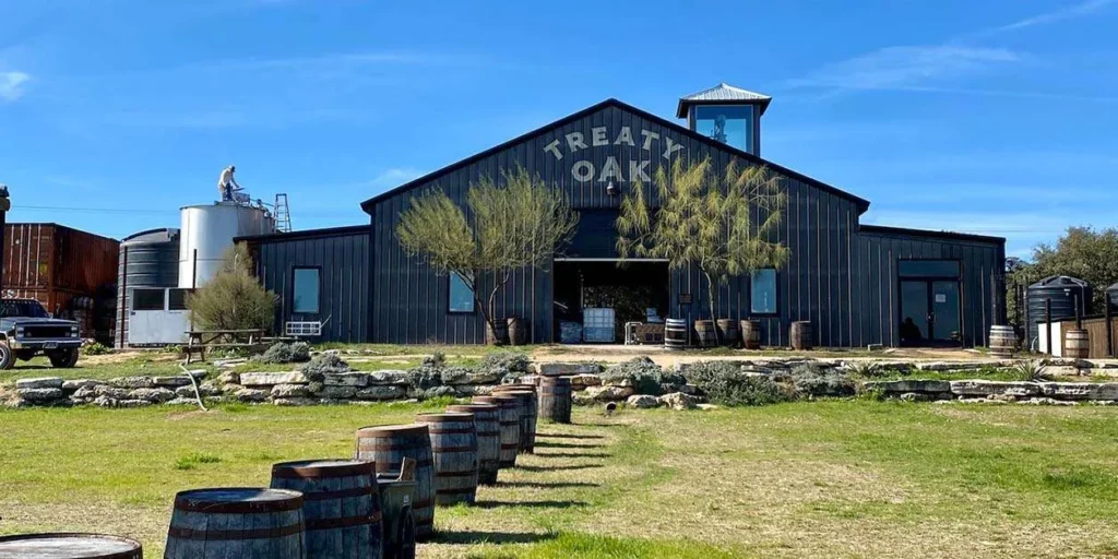 treaty oak