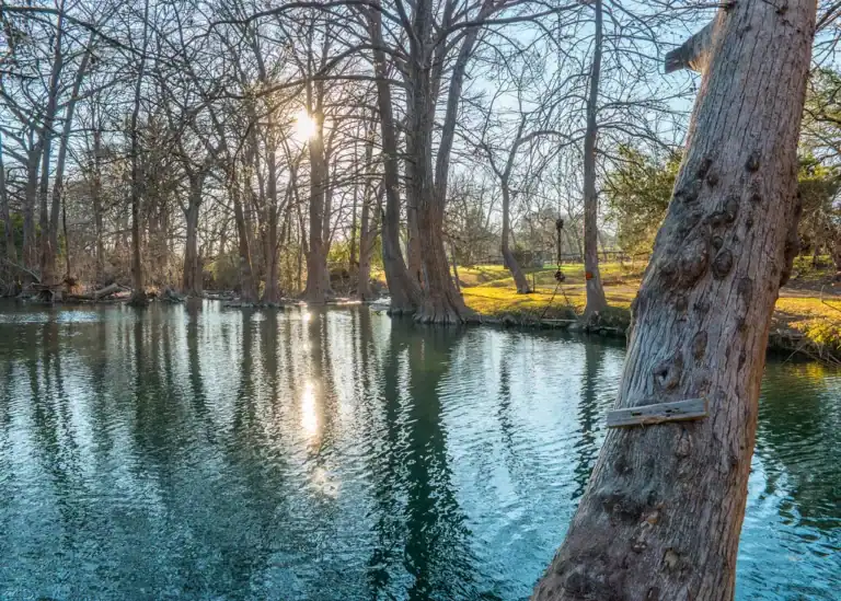 cypress creek