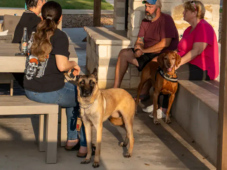 Guests and their dogs relaxing at the pavilion